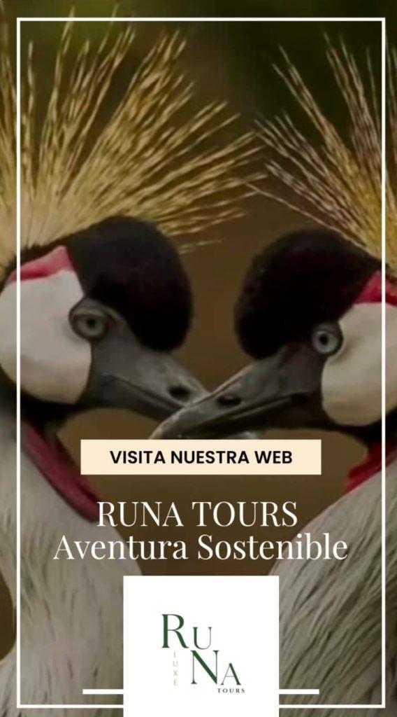 Runa Tours - Patro Marco